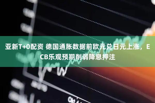 亚新T+0配资 德国通胀数据前欧元兑日元上涨，ECB乐观预期削弱降息押注
