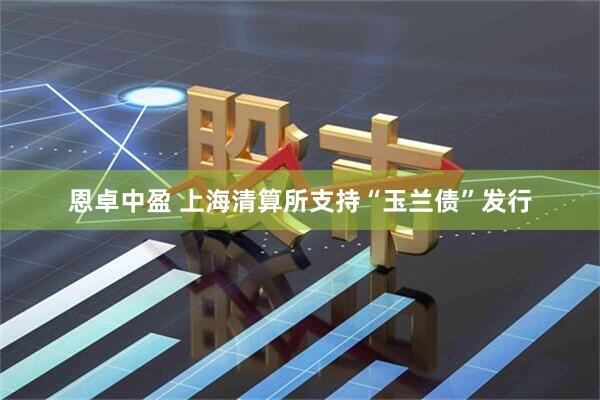 恩卓中盈 上海清算所支持“玉兰债”发行