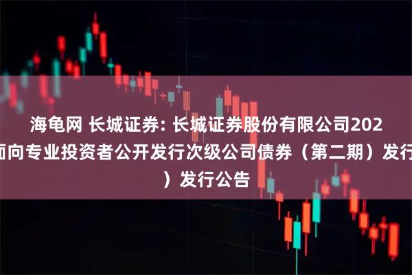 海龟网 长城证券: 长城证券股份有限公司2025年面向专业投资者公开发行次级公司债券(第二期)发行公告
