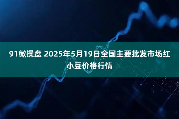 91微操盘 2025年5月19日全国主要批发市场红小豆价格行情